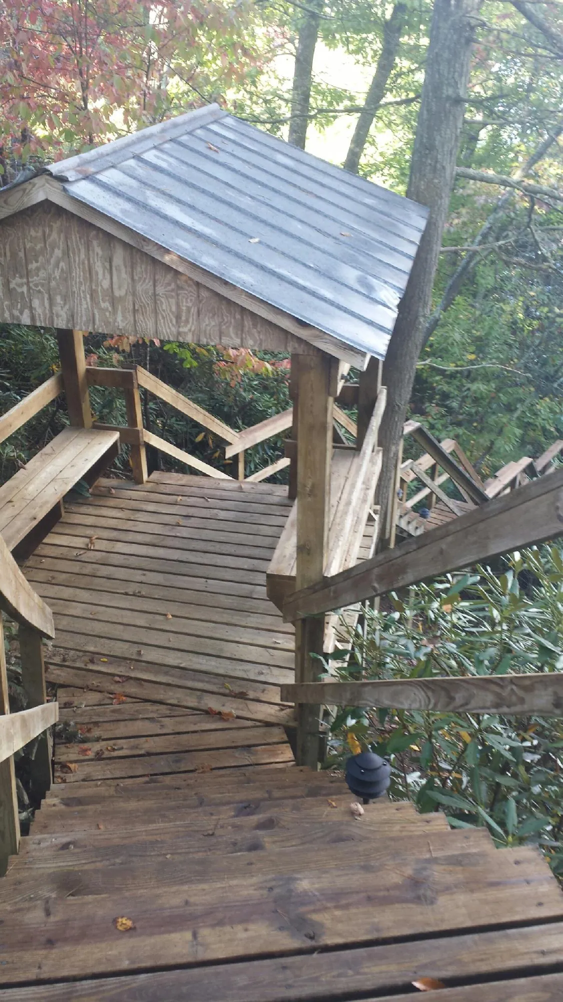 Metal roofed shelter over wooden steps on a wooded walkway — Skylight Repair & Installation work by our crew in Alder