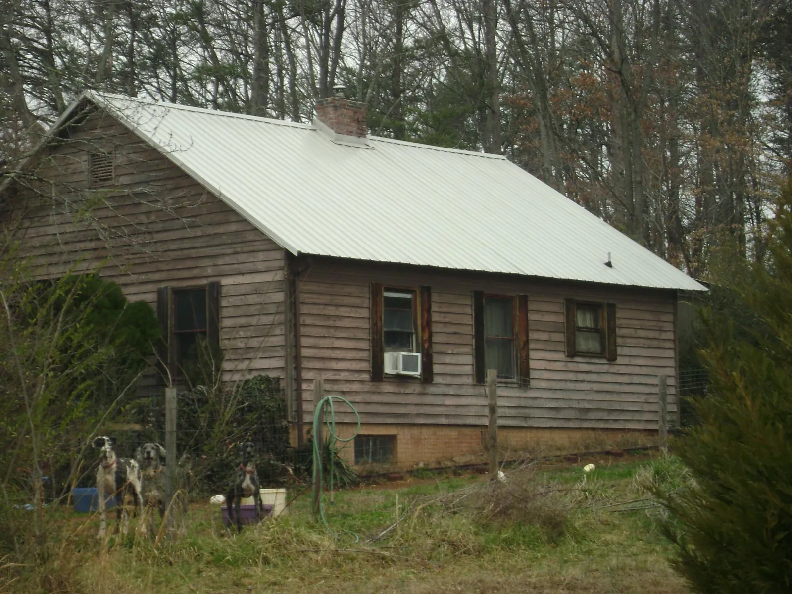 White metal roof on an old wood sided farmhouse, from a Metal Roof Installation job in Alder